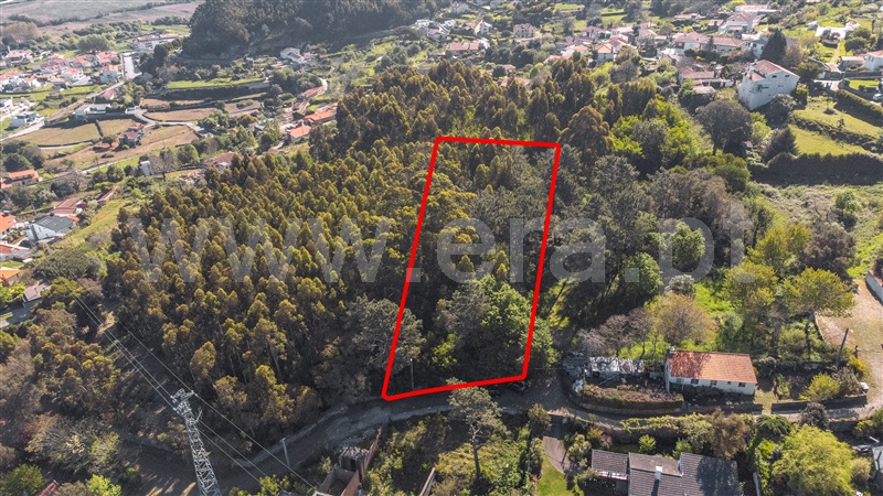 Terreno para Construção / Caminha, Caminha (Matriz) e Vilarelho