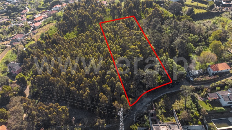 Terreno para Construção  Caminha, Caminha (Matriz) e Vilarelho - 1322452 - 4