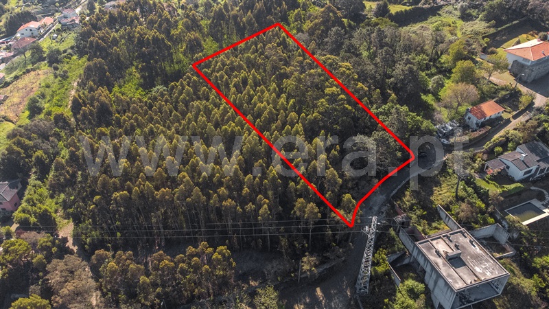 Terreno para Construção  Caminha, Caminha (Matriz) e Vilarelho - 1322452 - 5