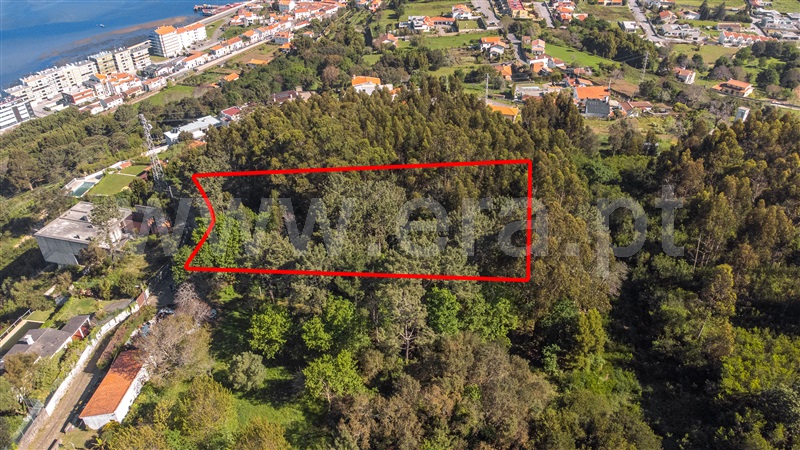 Terreno para Construção  Caminha, Caminha (Matriz) e Vilarelho - 1322452 - 6