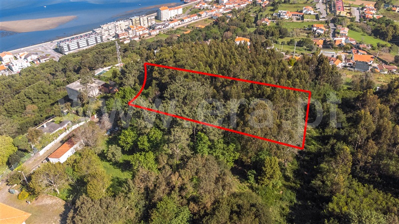 Terreno para Construção  Caminha, Caminha (Matriz) e Vilarelho - 1322452 - 8
