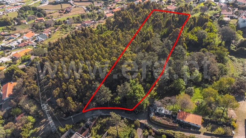 Terreno para Construção  Caminha, Caminha (Matriz) e Vilarelho - 1322452 - 11