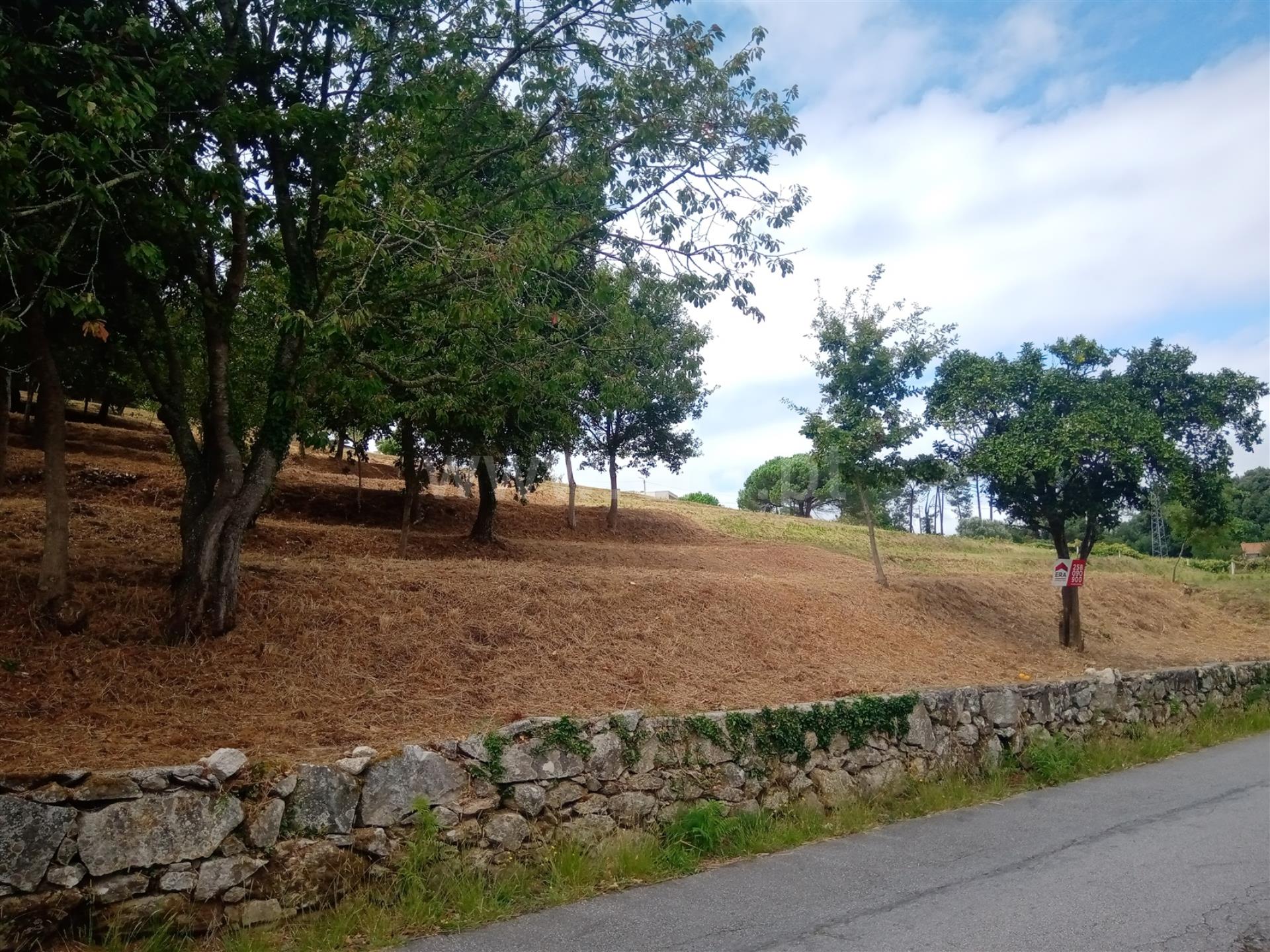 Land for sale in Caminha, Portugal — €105,000