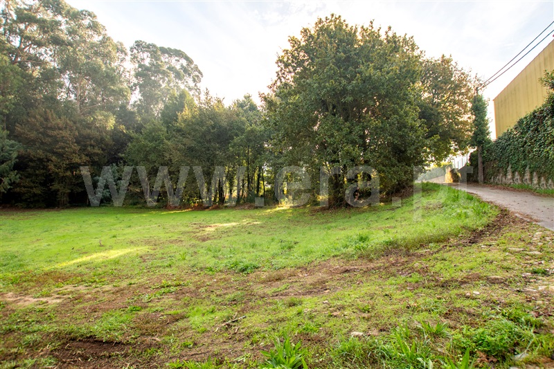 Terreno para Construção  Caminha, Lanhelas - 1194261 - 6