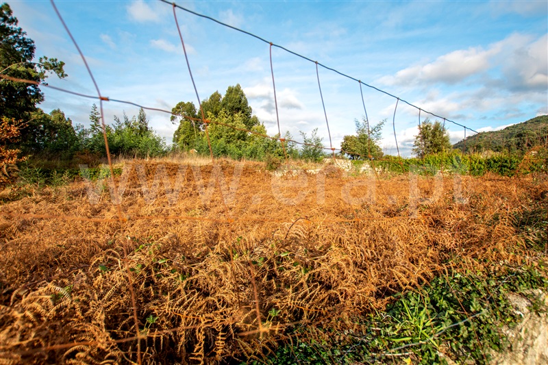 Terreno para Construção  Caminha, Vista Rio - 1219239 - 2
