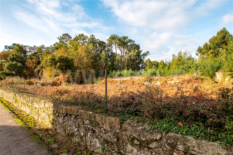 Terreno para Construção  Caminha, Vista Rio - 1219239 - 3