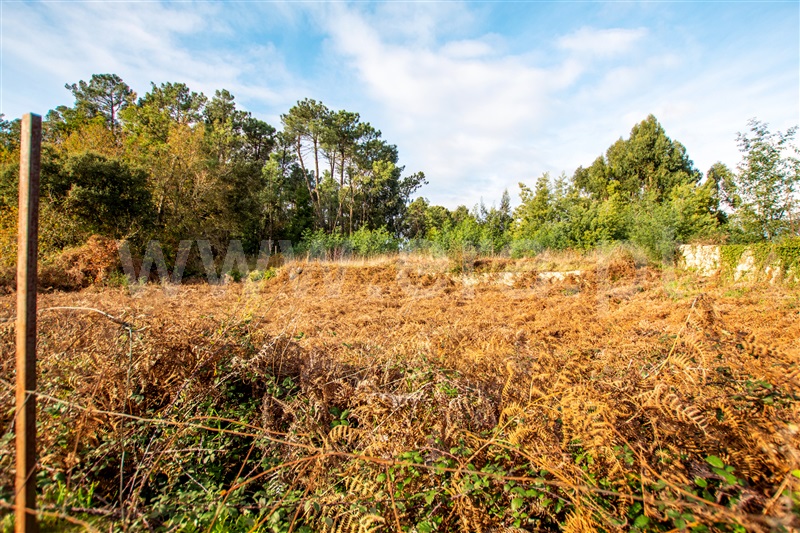 Terreno para Construção  Caminha, Vista Rio - 1219239 - 4