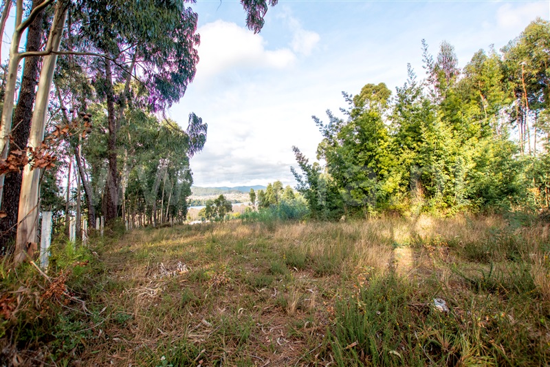 Terreno para Construção  Caminha, Vista Rio - 1219239 - 7