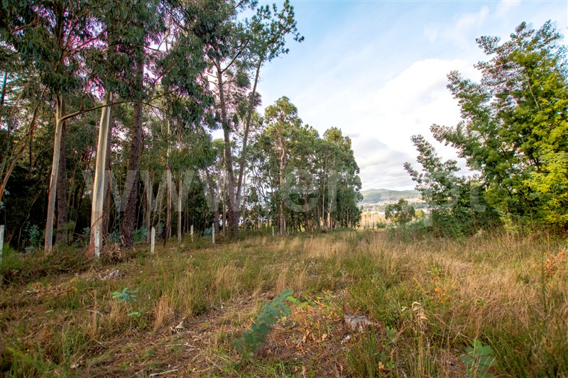 Terreno para Construção  Caminha, Vista Rio - 1219239 - 8