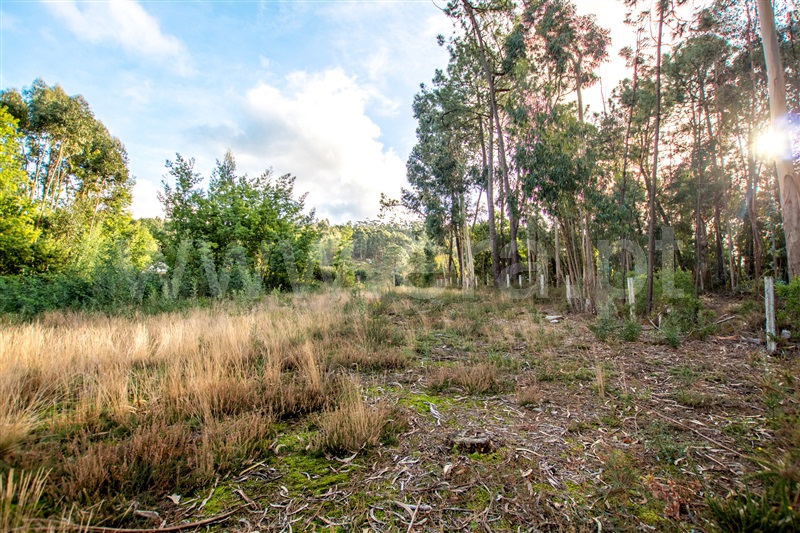 Terreno para Construção  Caminha, Vista Rio - 1219239 - 9