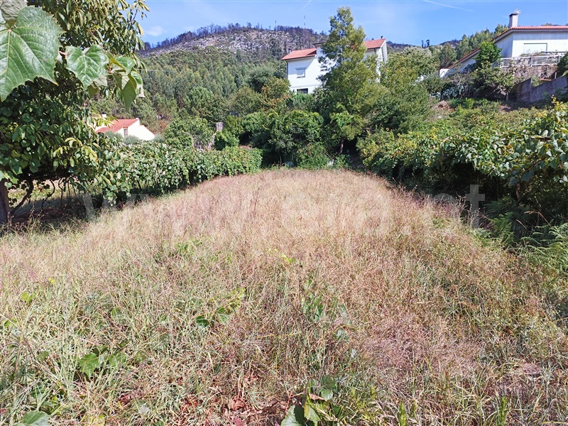 Terreno para Construção  com Rústico Caminha, Lanhelas - 1346686 - 2