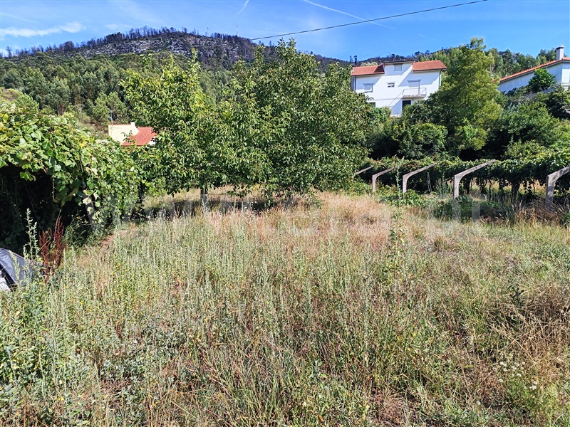 Terreno para Construção  com Rústico Caminha, Lanhelas - 1346686 - 3