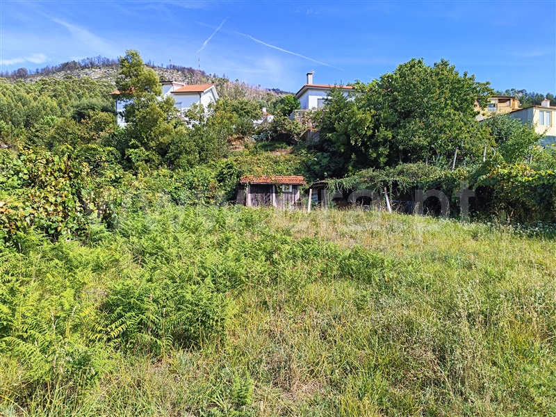 Terreno para Construção  com Rústico Caminha, Lanhelas - 1346686 - 4