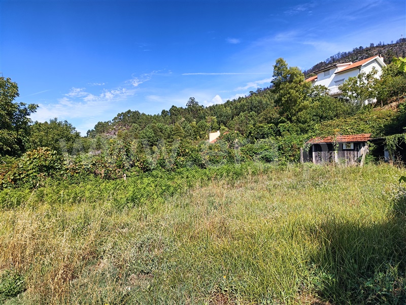 Terreno para Construção  com Rústico Caminha, Lanhelas - 1346686 - 5
