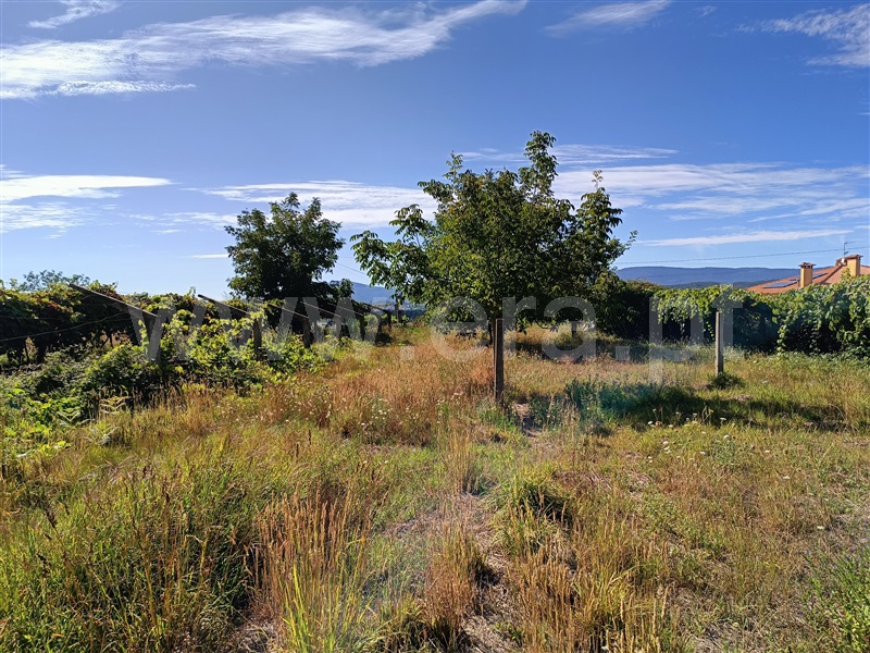 Terreno para Construção  com Rústico Caminha, Lanhelas - 1346686 - 7
