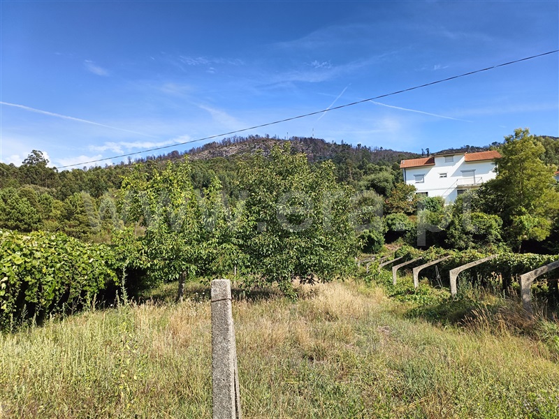 Terreno para Construção  com Rústico Caminha, Lanhelas - 1346686 - 9