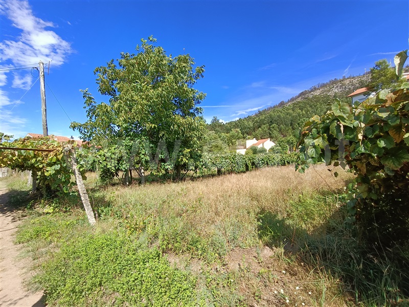 Terreno para Construção  com Rústico Caminha, Lanhelas - 1346686 - 13