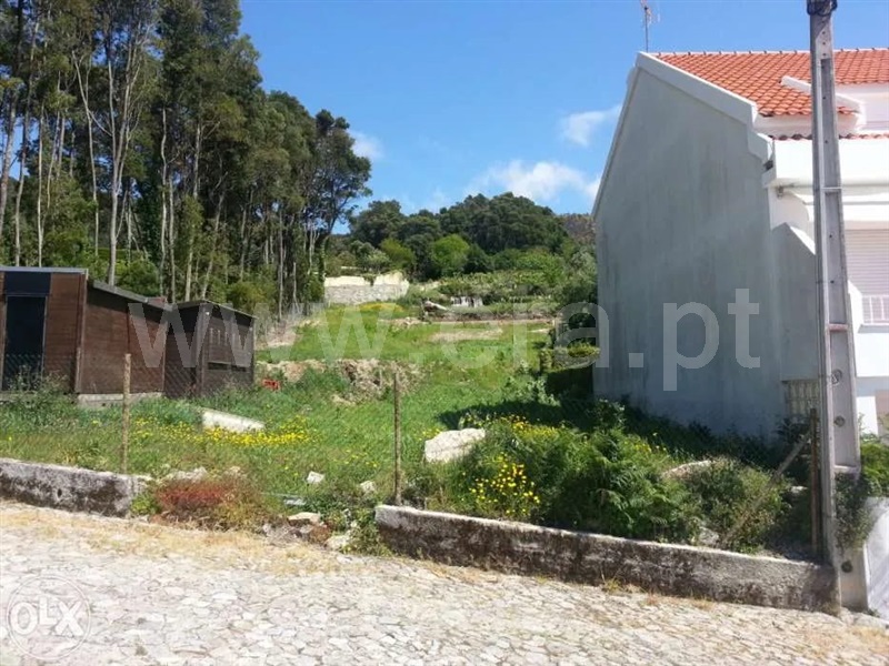 Terreno para Construção  Caminha, Moledo e Cristelo - 1136126 - 2