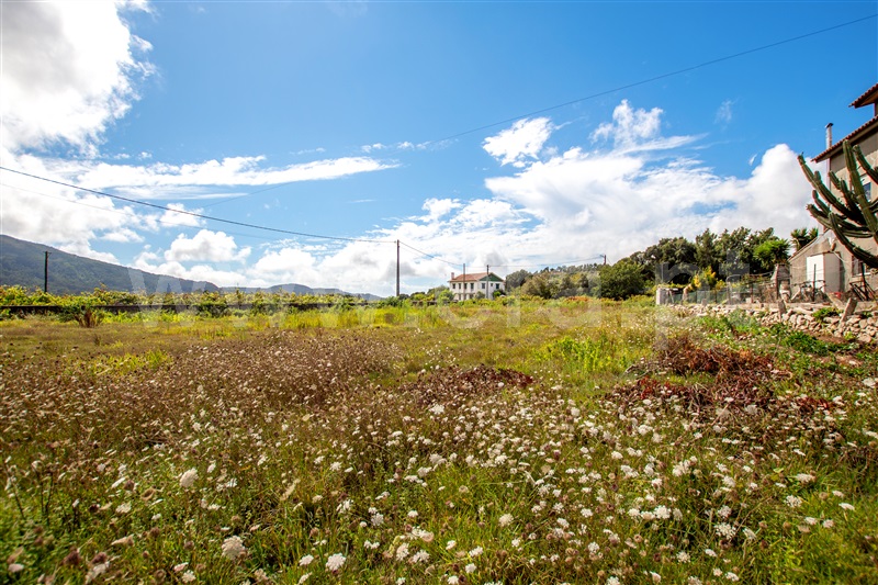 Terreno para Construção  Caminha, Riba de Âncora - 1129185 - 1