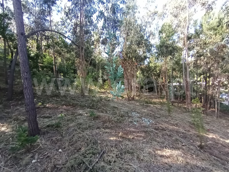 Terreno para Construção  Caminha, Riba de Âncora - 1177149 - 2