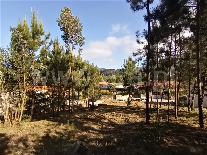 Terreno para Construção  Caminha, Riba de Âncora - 1177149 - 3