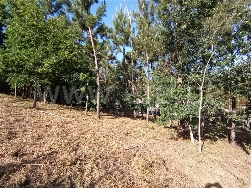 Terreno para Construção  Caminha, Riba de Âncora - 1177149 - 4