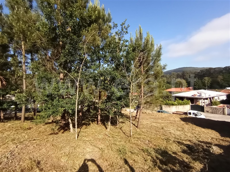 Terreno para Construção  Caminha, Riba de Âncora - 1177149 - 5