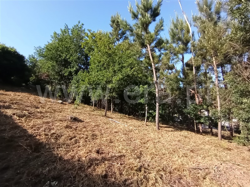Terreno para Construção  Caminha, Riba de Âncora - 1177149 - 6