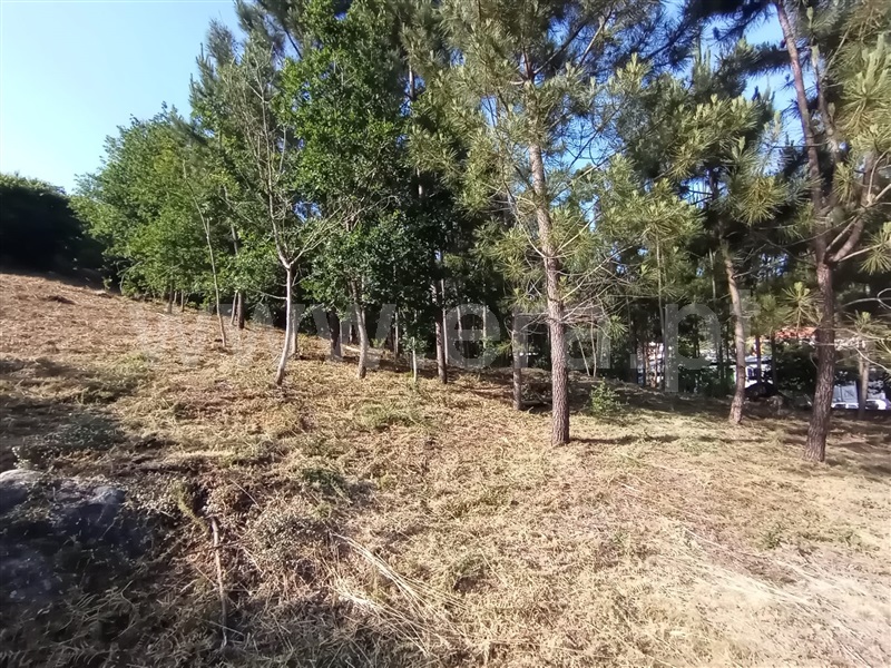 Terreno para Construção  Caminha, Riba de Âncora - 1177149 - 8
