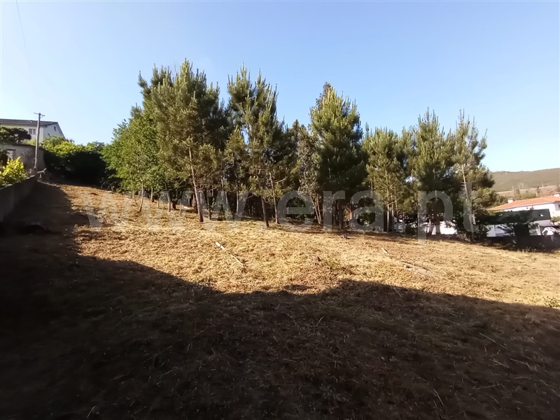 Terreno para Construção  Caminha, Riba de Âncora - 1177149 - 11