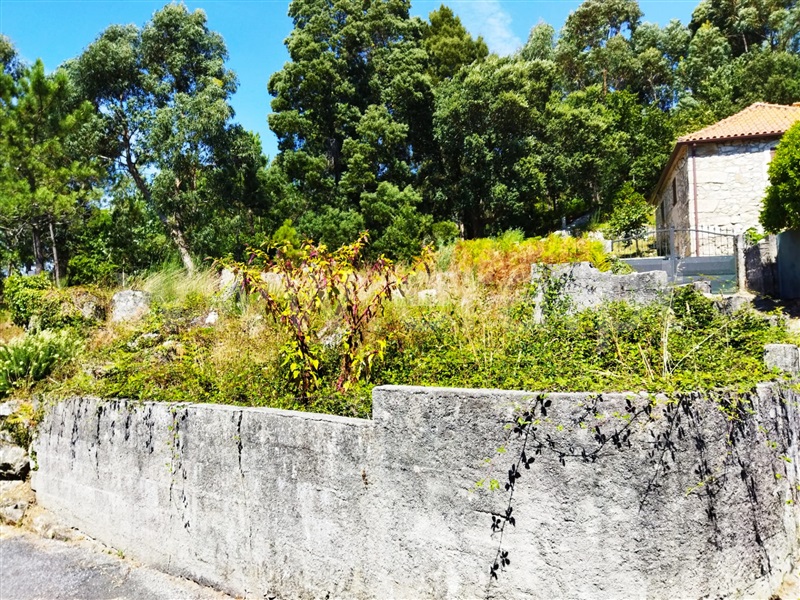 Terreno para Construção / Caminha, Riba de Âncora
