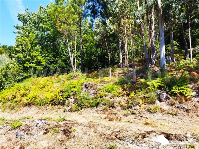 Terreno  Caminha, Riba de Âncora - 1269176 - 2