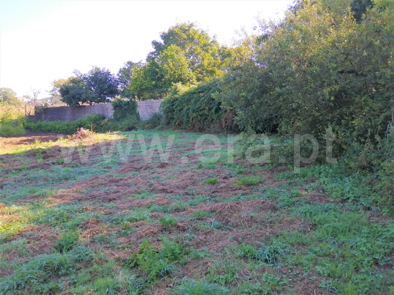 Terreno para Construção  Caminha, Seixas - 1113474 - 1