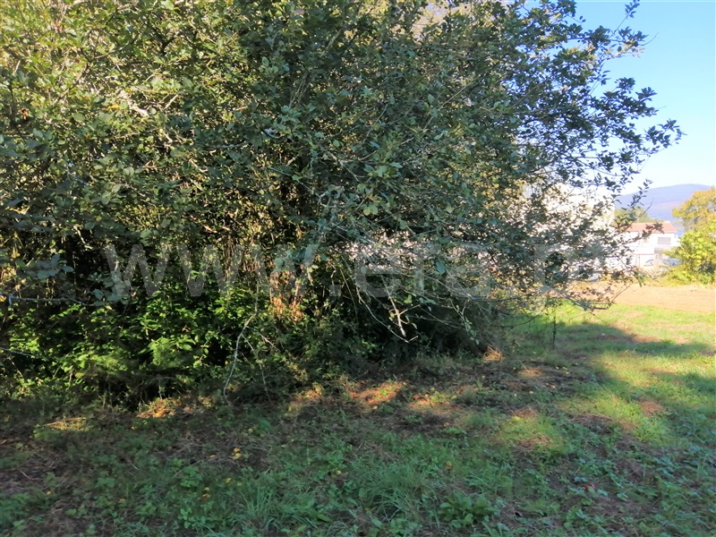 Terreno para Construção  Caminha, Seixas - 1113474 - 2