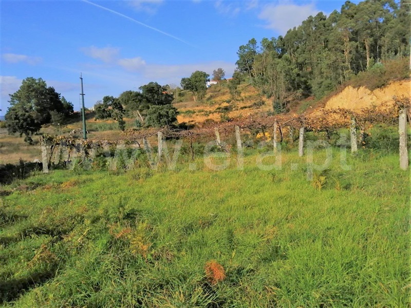 Terreno para Construção / Caminha, Seixas