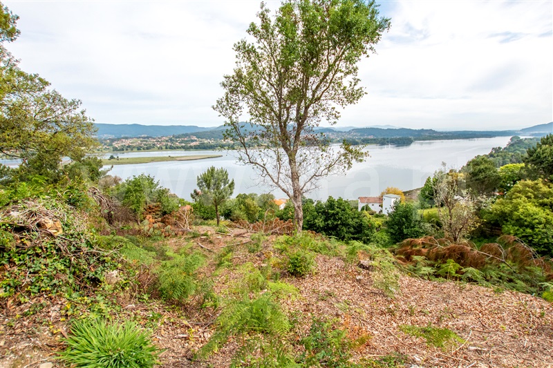 Terreno  com Vista Mar Caminha, Seixas - 1197456 - 2