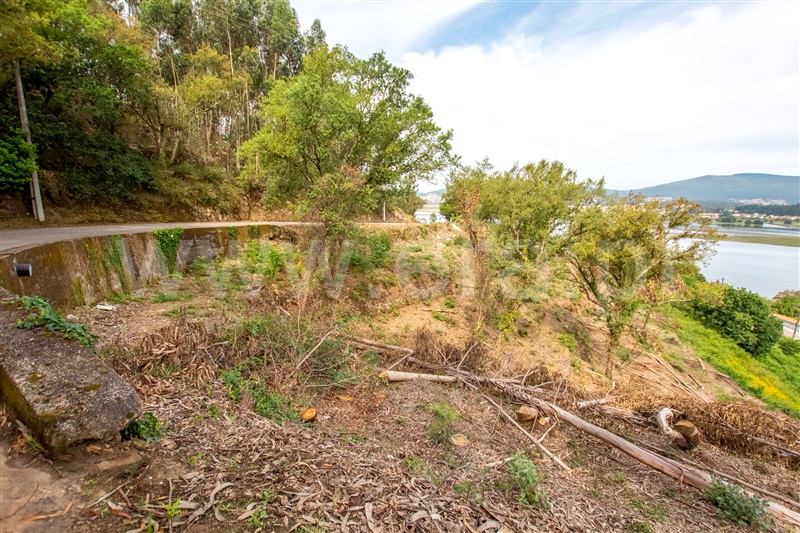 Terreno  com Vista Mar Caminha, Seixas - 1197456 - 6