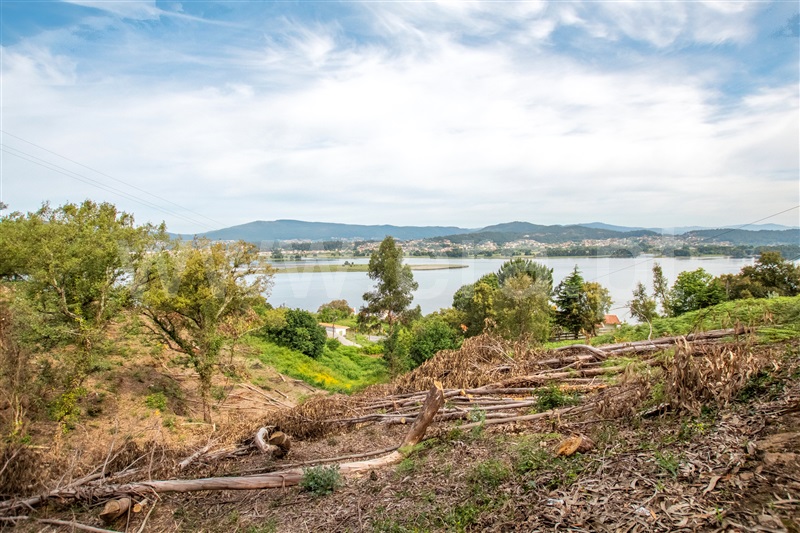 Terreno  com Vista Mar Caminha, Seixas - 1197456 - 7