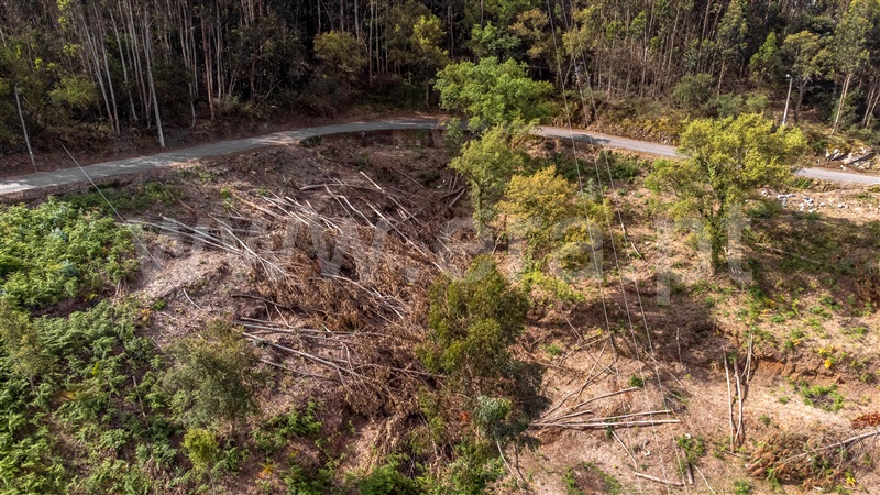 Terreno  com Vista Mar Caminha, Seixas - 1197456 - 18