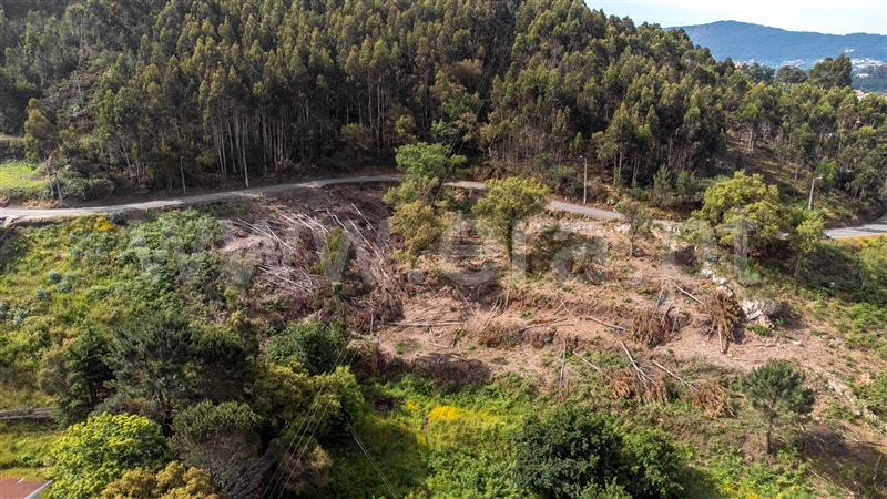 Terreno  com Vista Mar Caminha, Seixas - 1197456 - 21