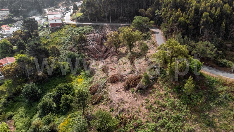 Terreno  com Vista Mar Caminha, Seixas - 1197456 - 22