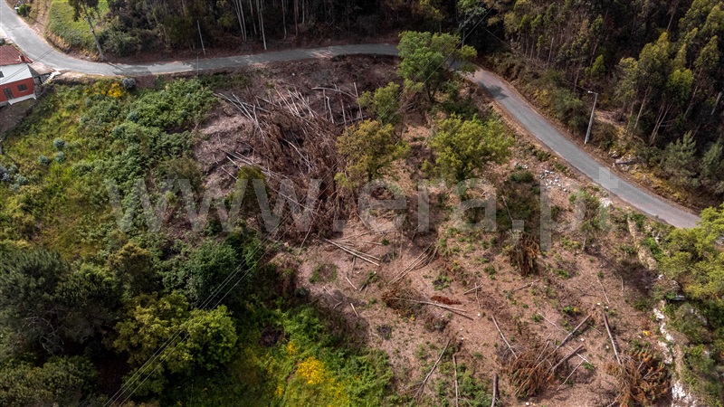 Terreno  com Vista Mar Caminha, Seixas - 1197456 - 24