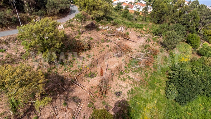 Terreno  com Vista Mar Caminha, Seixas - 1197456 - 26