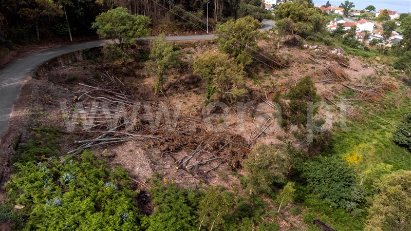 Terreno  com Vista Mar Caminha, Seixas - 1197456 - 28