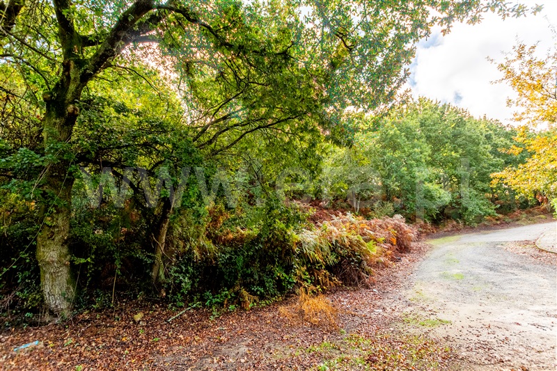 Terreno para Construção  Caminha, Seixas - 1205755 - 11
