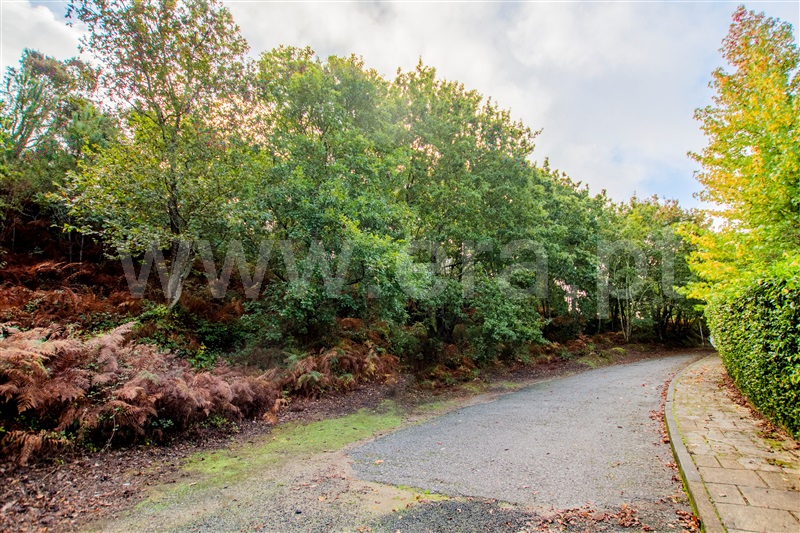 Terreno para Construção  Caminha, Seixas - 1205755 - 9