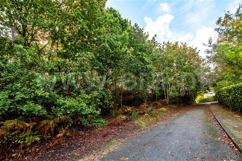 Terreno para Construção  Caminha, Seixas - 1205755 - 7