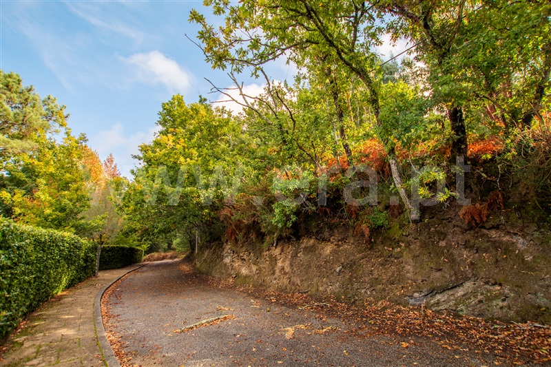Terreno para Construção  Caminha, Seixas - 1205755 - 4