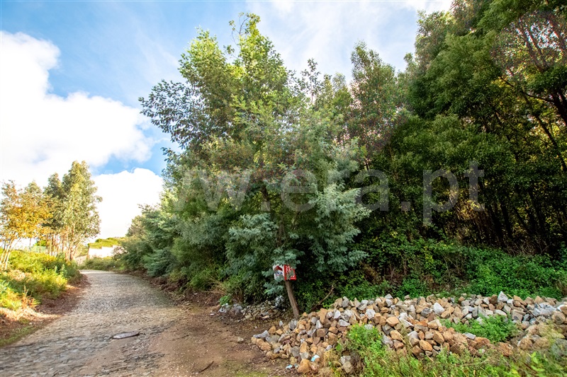 Terreno para Construção / Caminha, Seixas