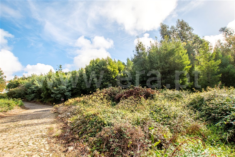 Terreno para Construção  Caminha, Vista Rio - 1205830 - 2